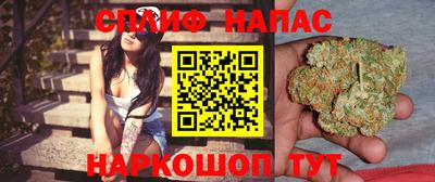 сатива Севастополь