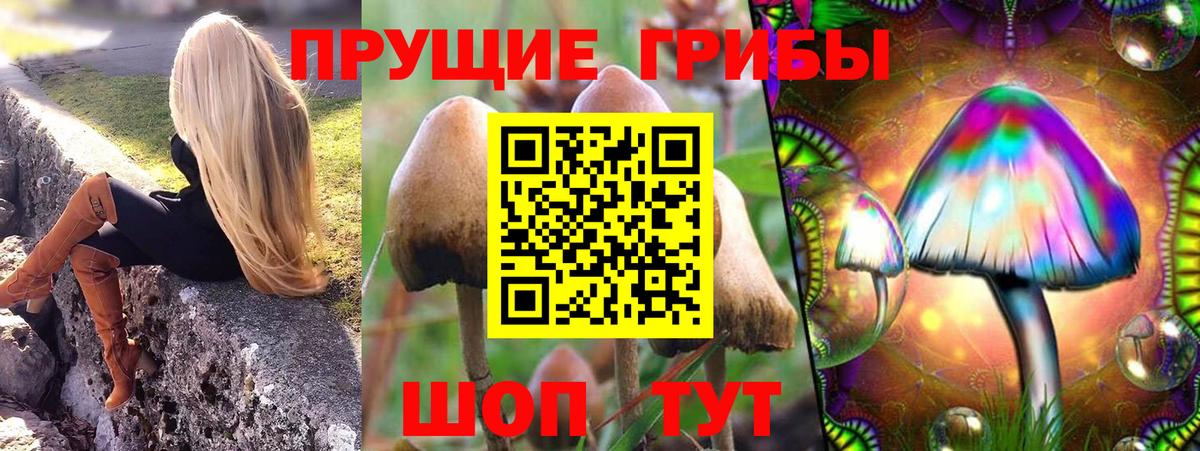 Новочебоксарск  закладки  Вход с VPN  Псилоцибиновые грибы Psilocybe 
