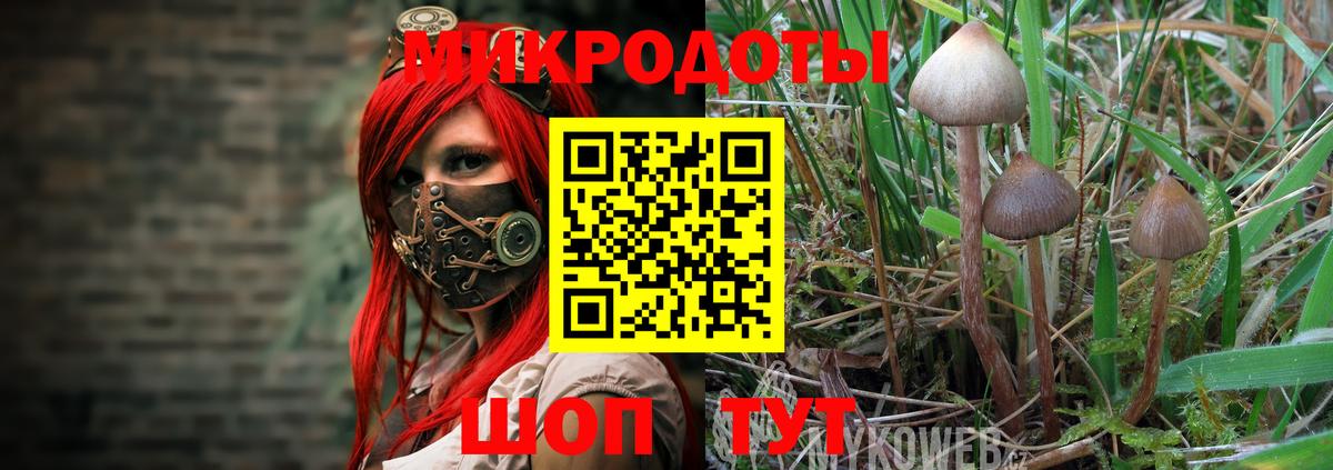 Псилоцибиновые грибы Magic Shrooms Новочебоксарск